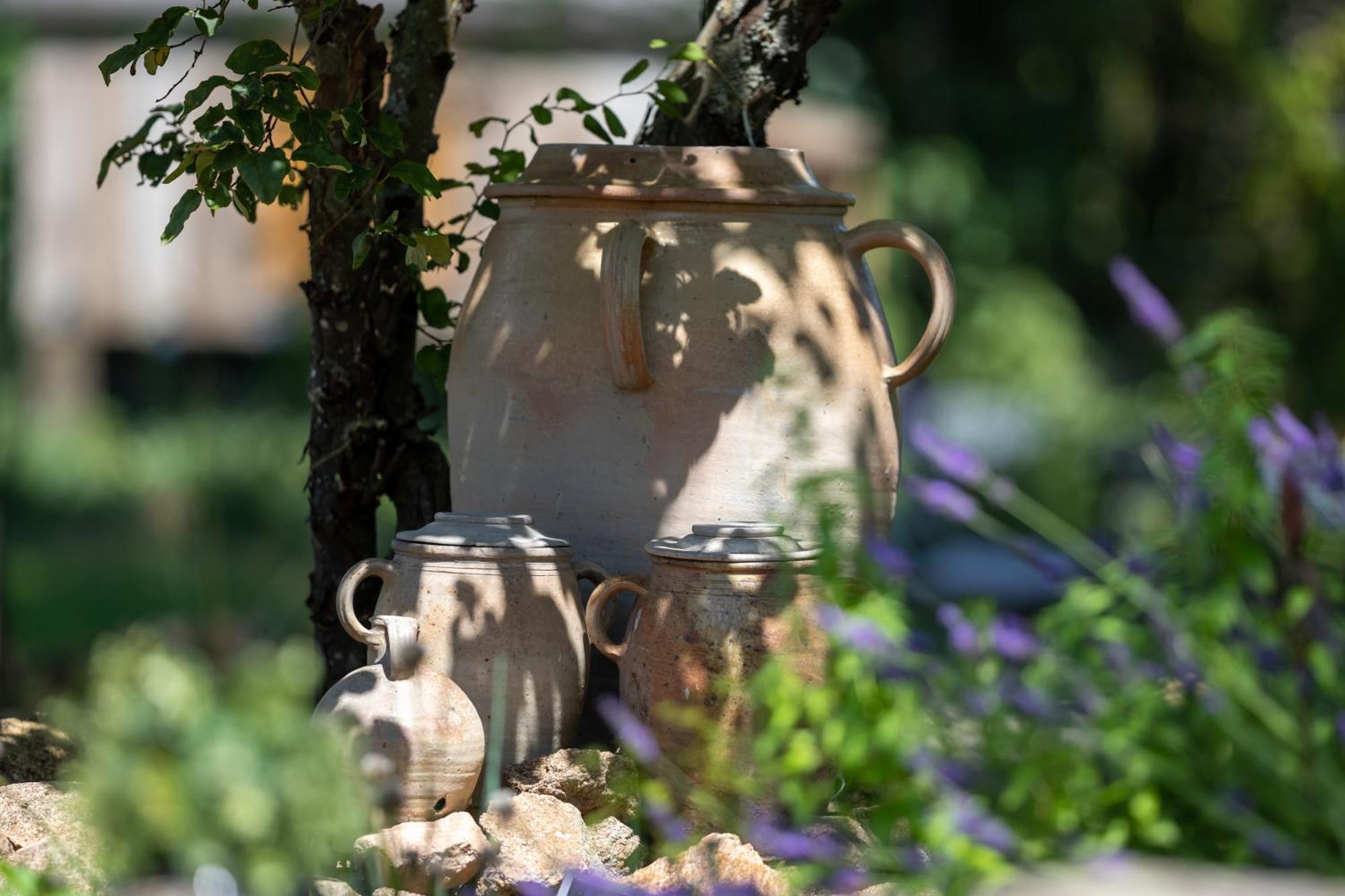 Domaine La Pomme De Pin Acomodação com café da manhã Louroux-de-Beaune Exterior foto