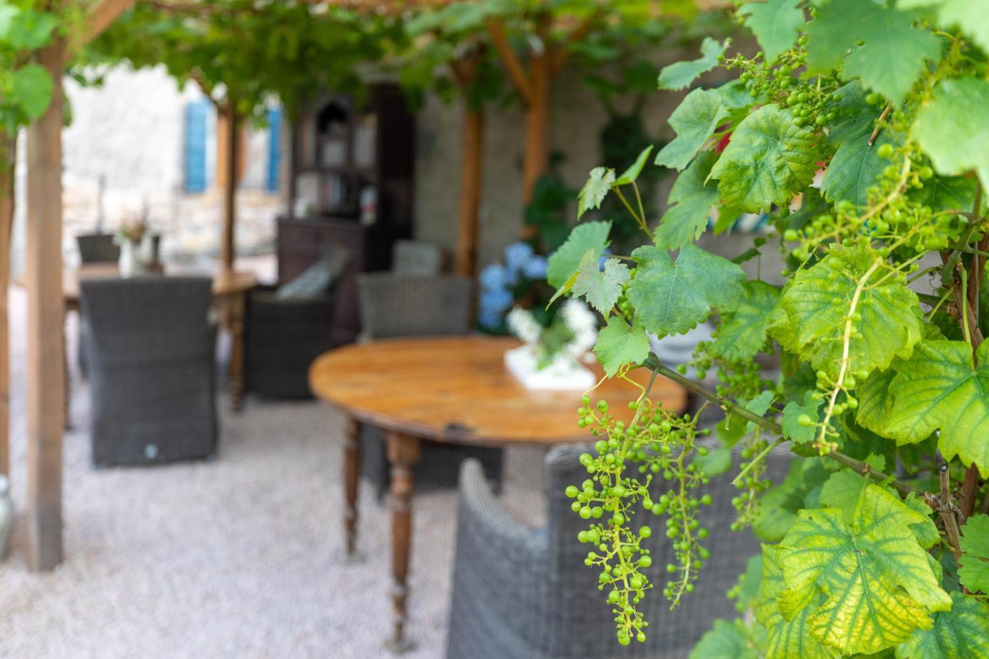 Domaine La Pomme De Pin Acomodação com café da manhã Louroux-de-Beaune Exterior foto